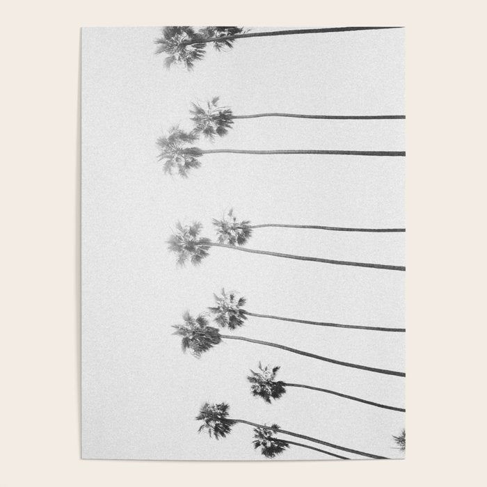 PALM TREES LXVII Poster Gallery Image 4