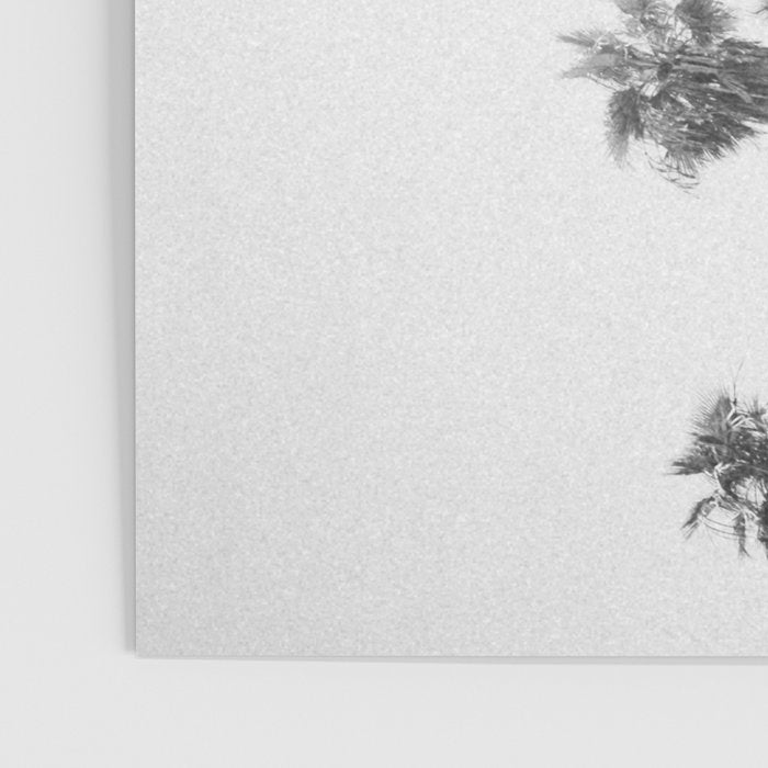 PALM TREES LXVII Poster Gallery Image 3