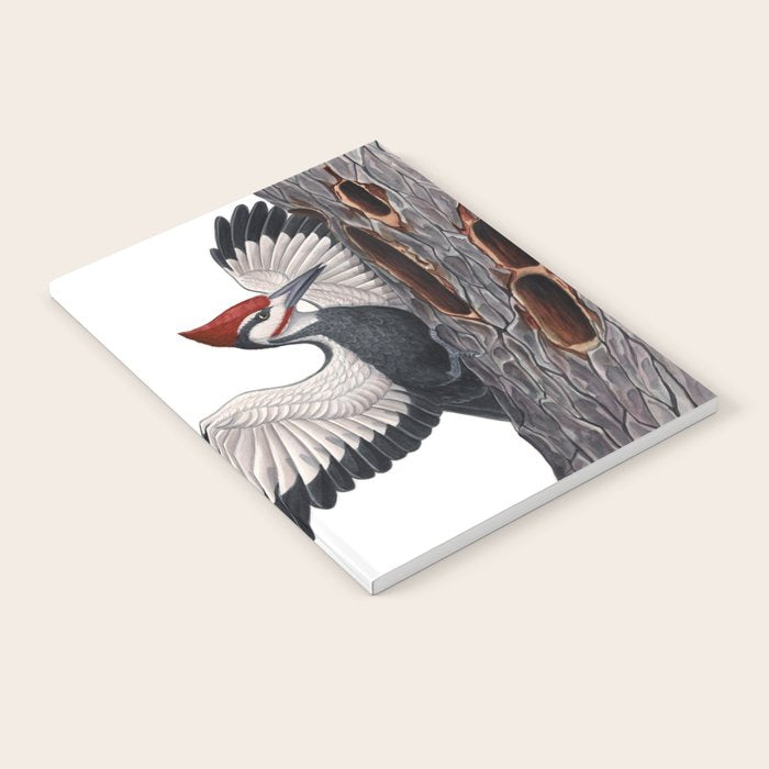 Pileated Woodpecker Notebook Gallery Image 2