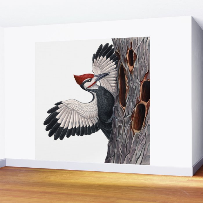 Pileated Woodpecker Wall Mural Gallery Image 2