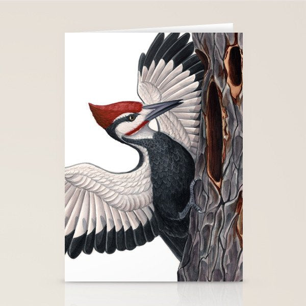 Pileated Woodpecker Stationery Card Gallery Image 2