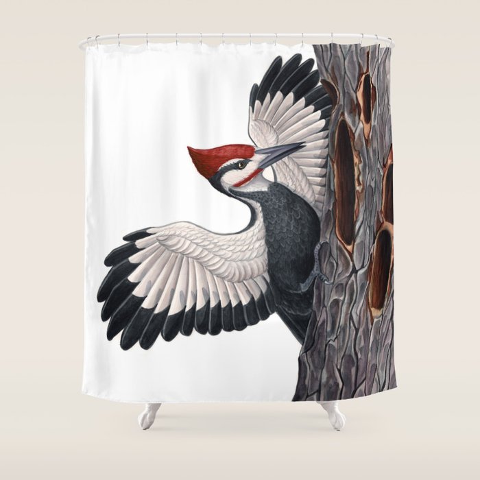 Pileated Woodpecker Shower Curtain Gallery Image 1