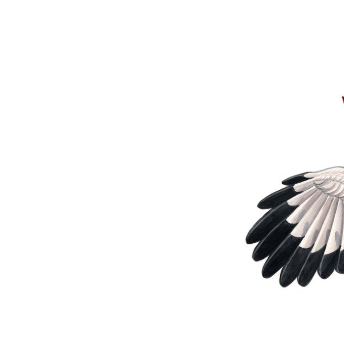 Pileated Woodpecker Coffee Mug Gallery Image 2