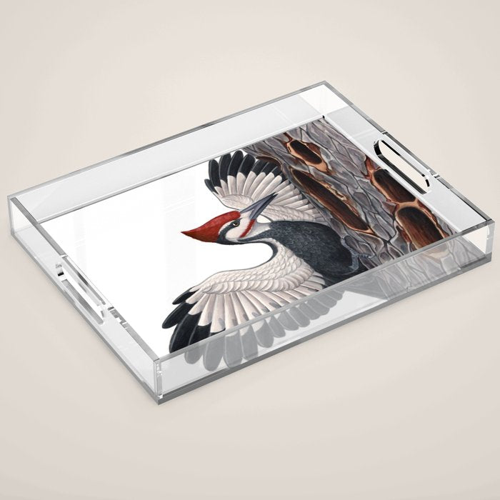 Pileated Woodpecker Acrylic Tray Gallery Image 1