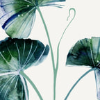 Water lily leaves Coffee Mug Gallery Image 2