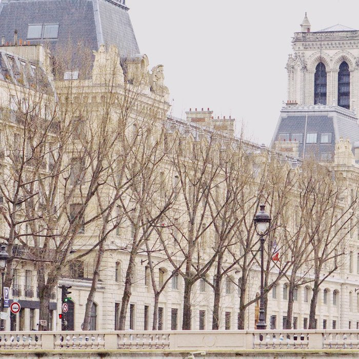 Notre Dame Cathedral on the Seine - Travel Photography, Paris  Coffee Mug Gallery Image 2