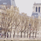 Notre Dame Cathedral on the Seine - Travel Photography, Paris  Coffee Mug Gallery Image 2