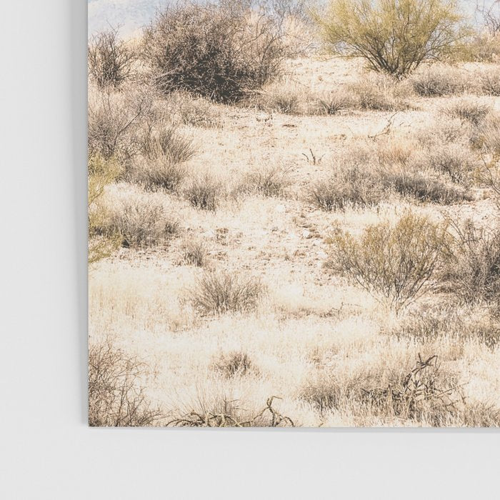 Arizona Sun rise Poster Gallery Image 3
