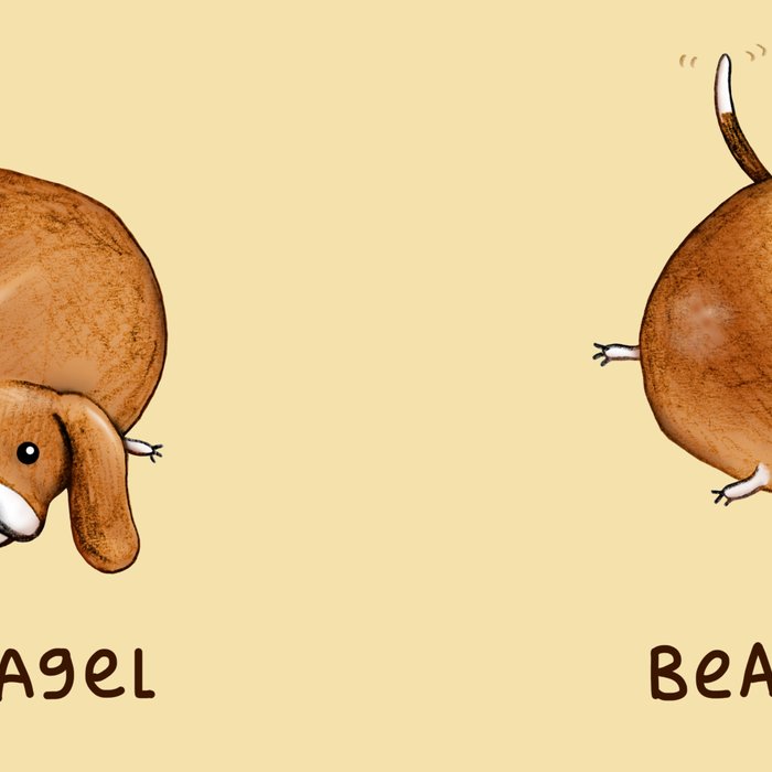 Beagle Bagel Coffee Mug Gallery Image 2