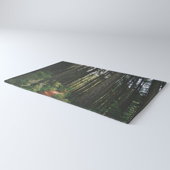 Happy Trails Rug Gallery Image 3