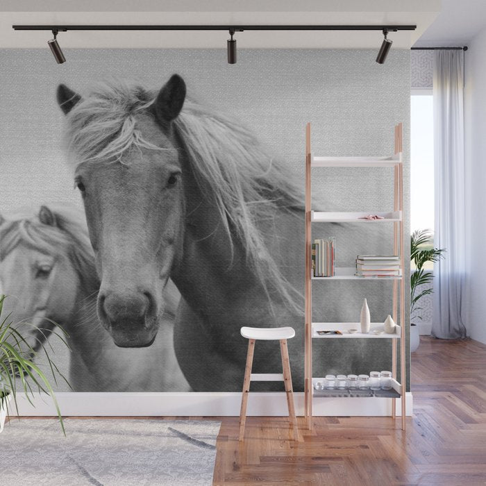 Horses - Black & White Wall Mural Gallery Image 1