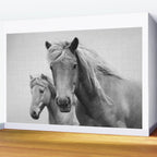 Horses - Black & White Wall Mural Gallery Image 2