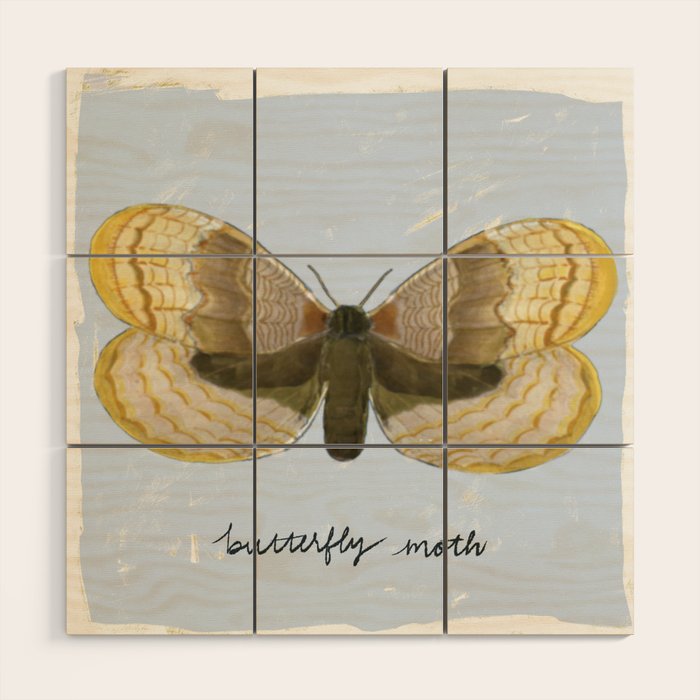 Butterfly Moth on Soft Sky Wood Wall Art Gallery Image 1