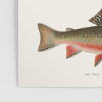 Bubblegum Fish Poster Gallery Image 3