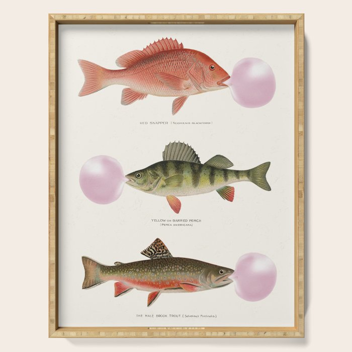 Bubblegum Fish Serving Tray Gallery Image 1