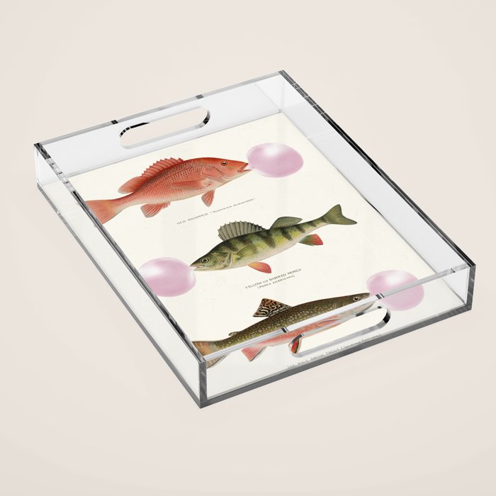 Bubblegum Fish Acrylic Tray Gallery Image 1