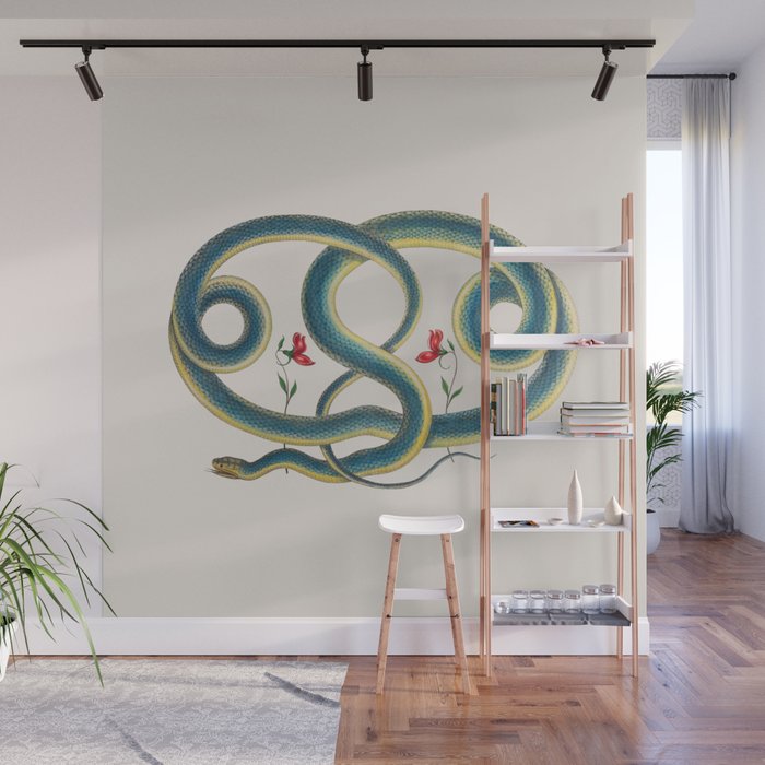 Albertus Seba Snakes Flowers Engraving Wall Mural Gallery Image 1