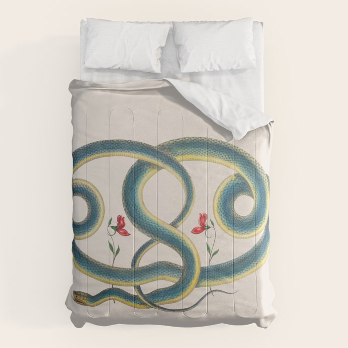 Albertus Seba Snakes Flowers Engraving Comforter Gallery Image 6