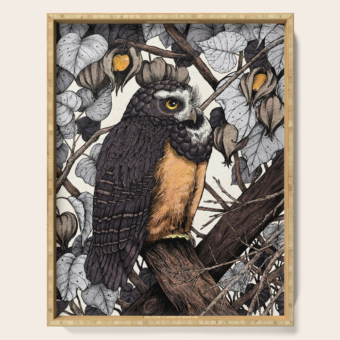 Spectacled Owl Serving Tray Gallery Image 1