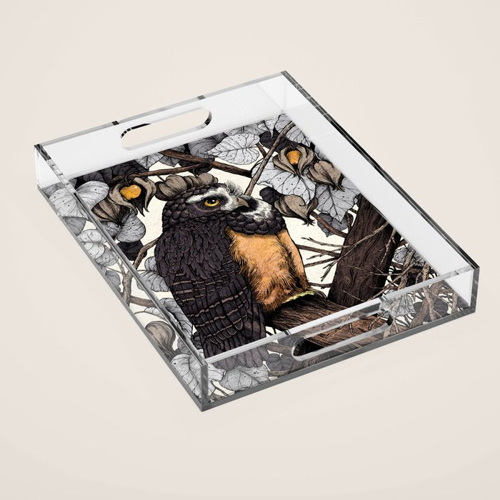 Spectacled Owl Acrylic Tray Gallery Image 1