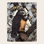 Spectacled Owl Poster Gallery Image 4