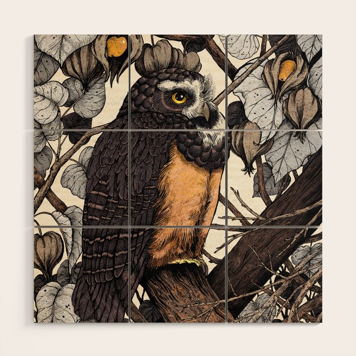 Spectacled Owl Wood Wall Art Gallery Image 1