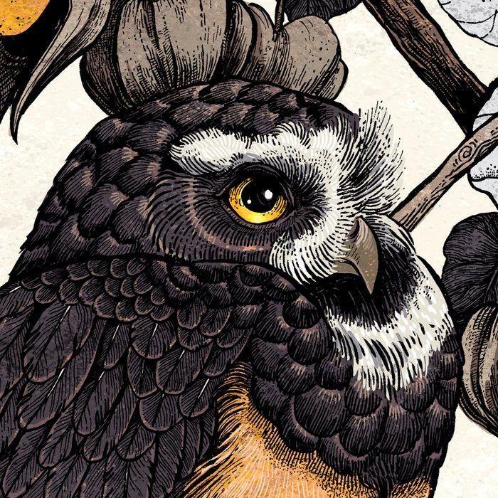 Spectacled Owl Coffee Mug Gallery Image 2