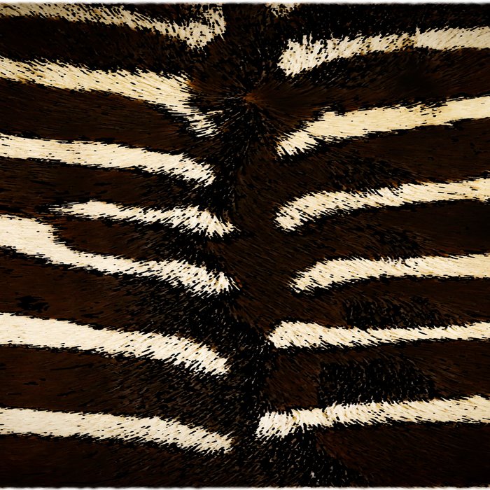 Zebra #decor #society6 #buyart Coffee Mug Gallery Image 2