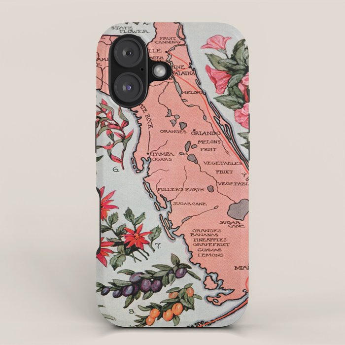 Vintage Map of Florida (1917) iPhone Case Gallery Image 1