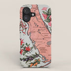 Vintage Map of Florida (1917) iPhone Case Gallery Image 1