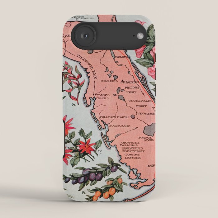 Vintage Map of Florida (1917) iPhone Case Gallery Image 2