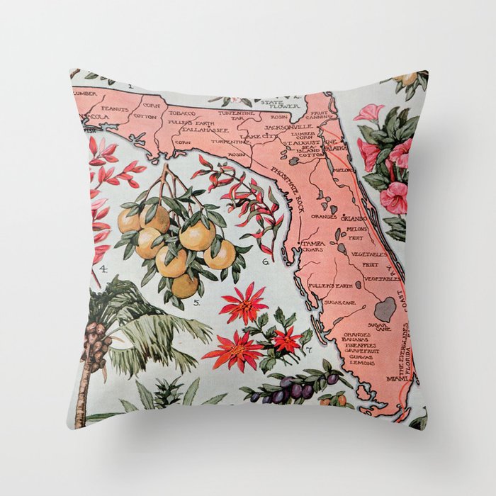 Vintage Map of Florida (1917) Throw Pillow Gallery Image 6