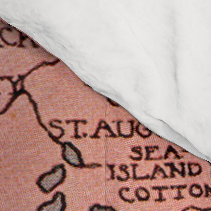 Vintage Map of Florida (1917) Comforter Gallery Image 4