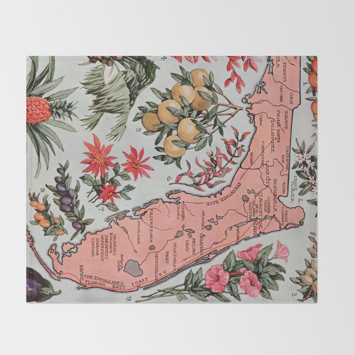 Vintage Map of Florida (1917) Throw Blanket Gallery Image 2