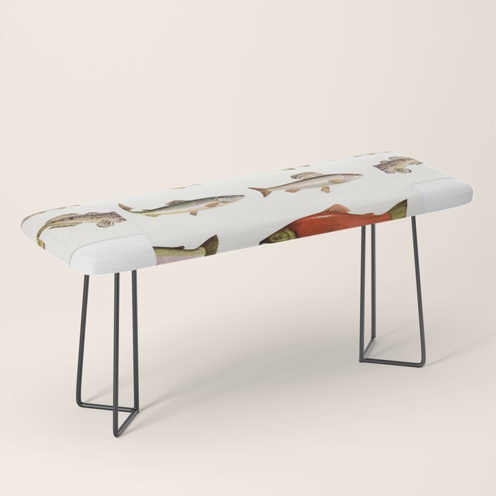 Fishing Line Bench Gallery Image 1