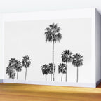 Los Angeles Palm Trees - Black and White Photography Wall Mural Gallery Image 2