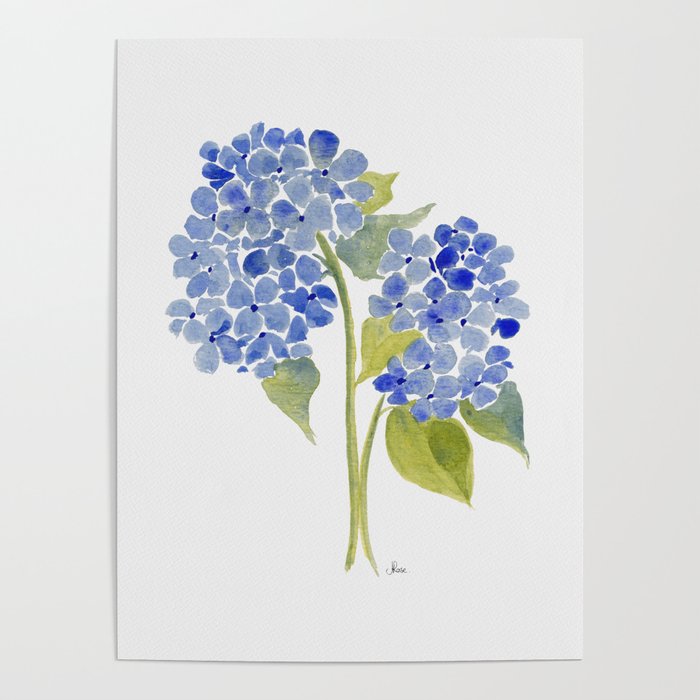 Blue Gouache Hydrangea Poster Gallery Image 1