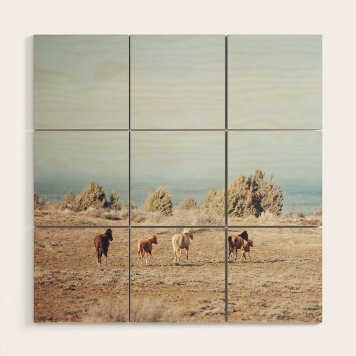 Oregon Wilderness Horses Wood Wall Art Gallery Image 1