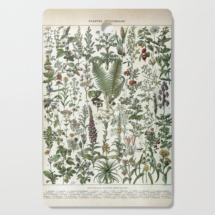 Medicinal PlantsVintage  Illustration Cutting Board Gallery Image 1