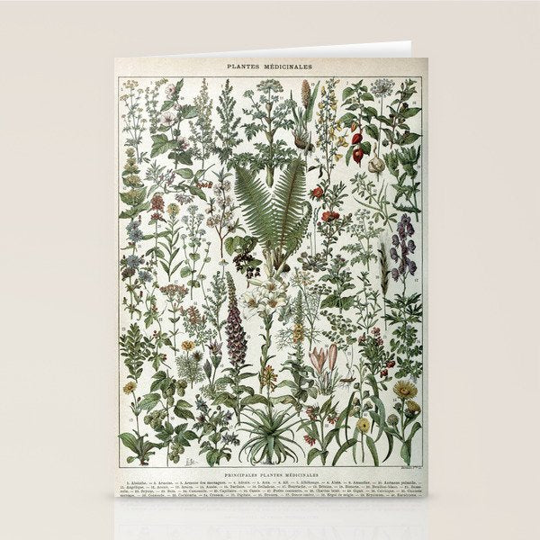 Medicinal PlantsVintage  Illustration Stationery Card Gallery Image 2
