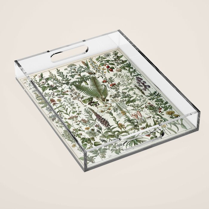 Medicinal PlantsVintage  Illustration Acrylic Tray Gallery Image 1
