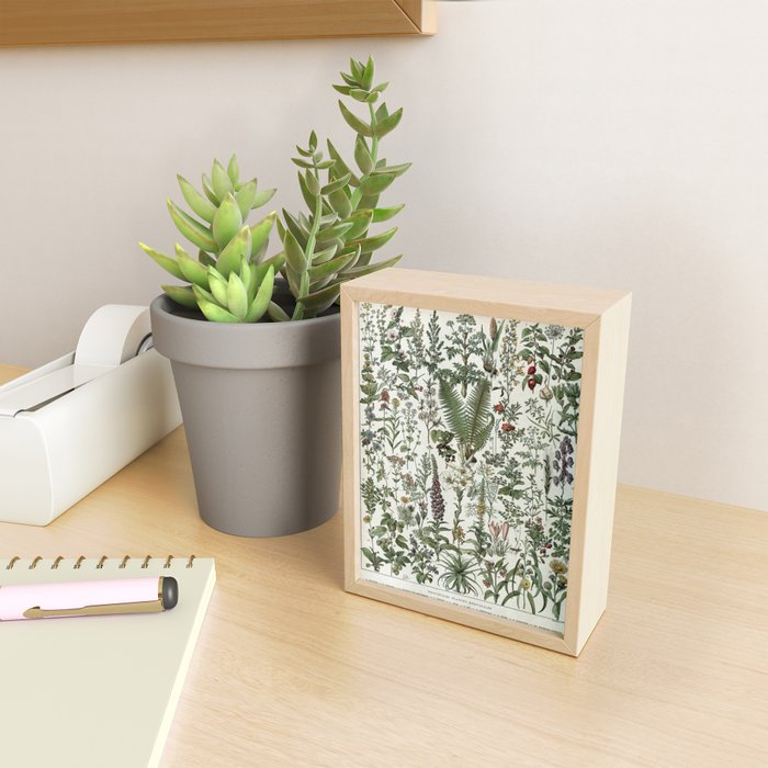 Medicinal PlantsVintage  Illustration Mini Art Print Gallery Image 2