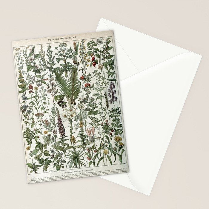 Medicinal PlantsVintage  Illustration Stationery Card Gallery Image 2