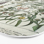 Medicinal PlantsVintage  Illustration Bath Mat Gallery Image 3