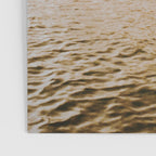 golden summer ii Poster Gallery Image 3