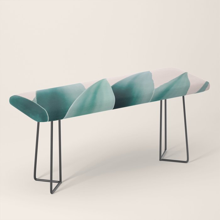 Agave flare II - peach Bench Gallery Image 1