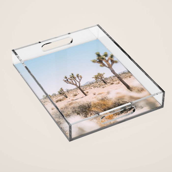 Joshua Tree National Park - California Boho Desert Photo in Neutral Acrylic Tray Gallery Image 1