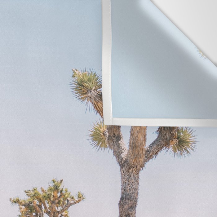 Joshua Tree National Park - California Boho Desert Photo in Neutral Wall Tapestry Gallery Image 3