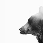 Big Bear Coffee Mug Gallery Image 2