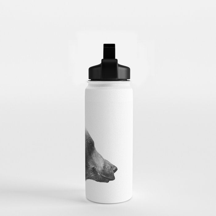 Big Bear Water Bottle Gallery Image 2